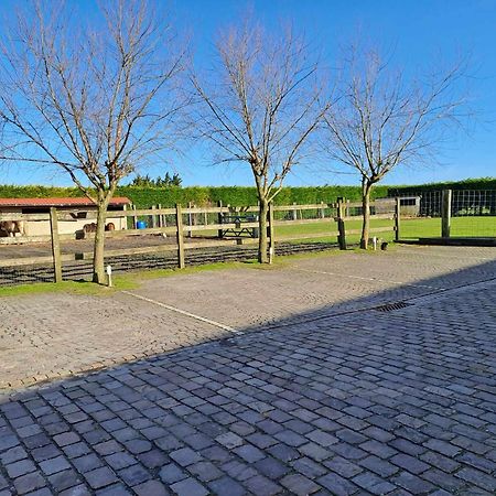 B&B 'T Hannonshof Nieuwpoort Kültér fotó