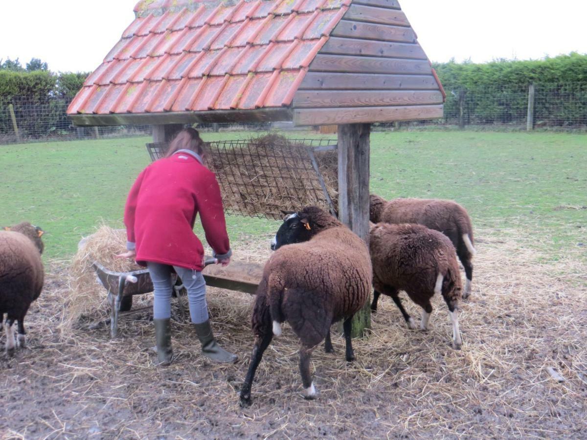 B&B 'T Hannonshof Nieuwpoort Kültér fotó
