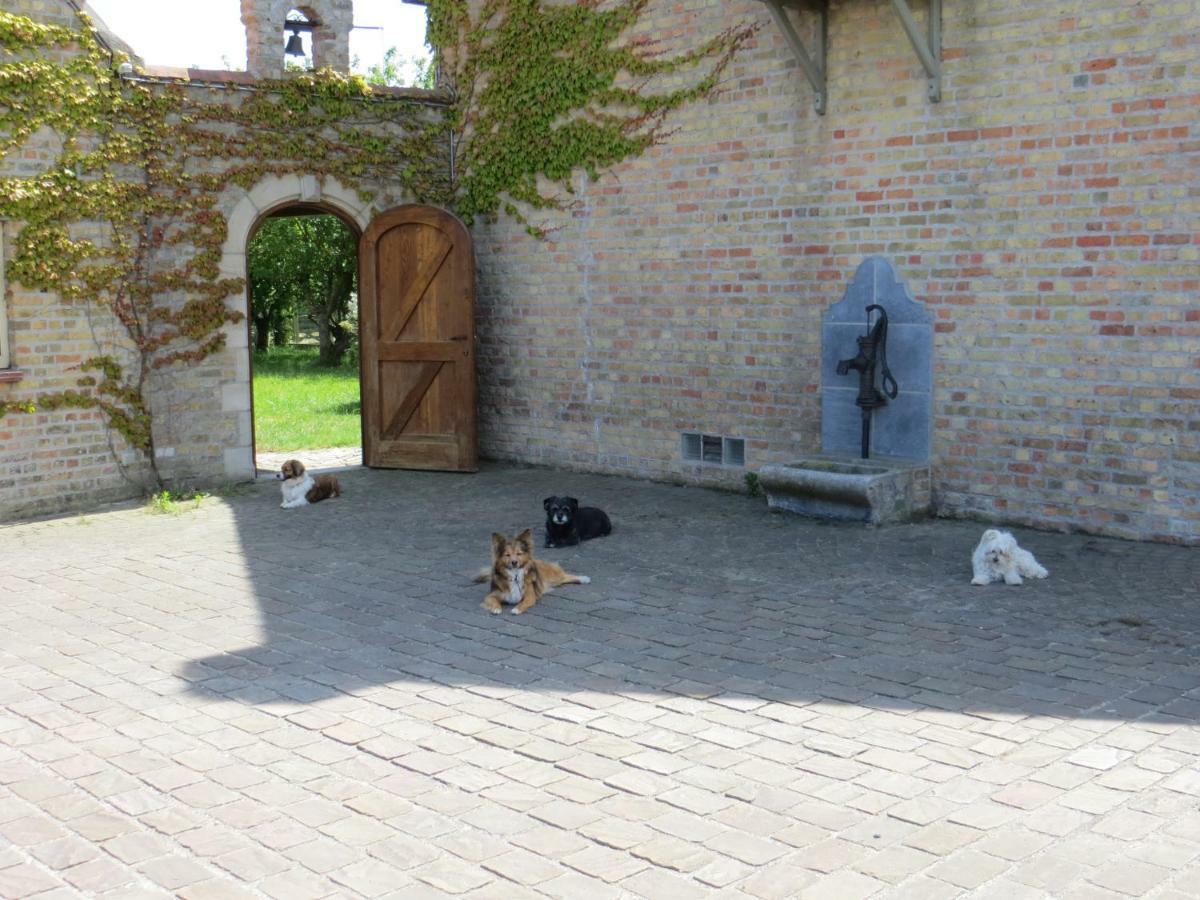 B&B 'T Hannonshof Nieuwpoort Kültér fotó